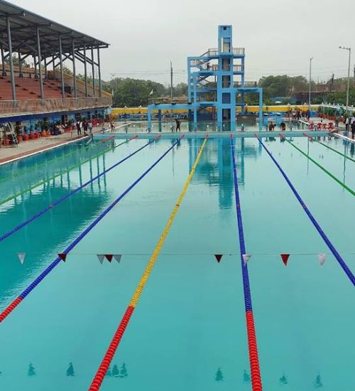 untitled design (52)